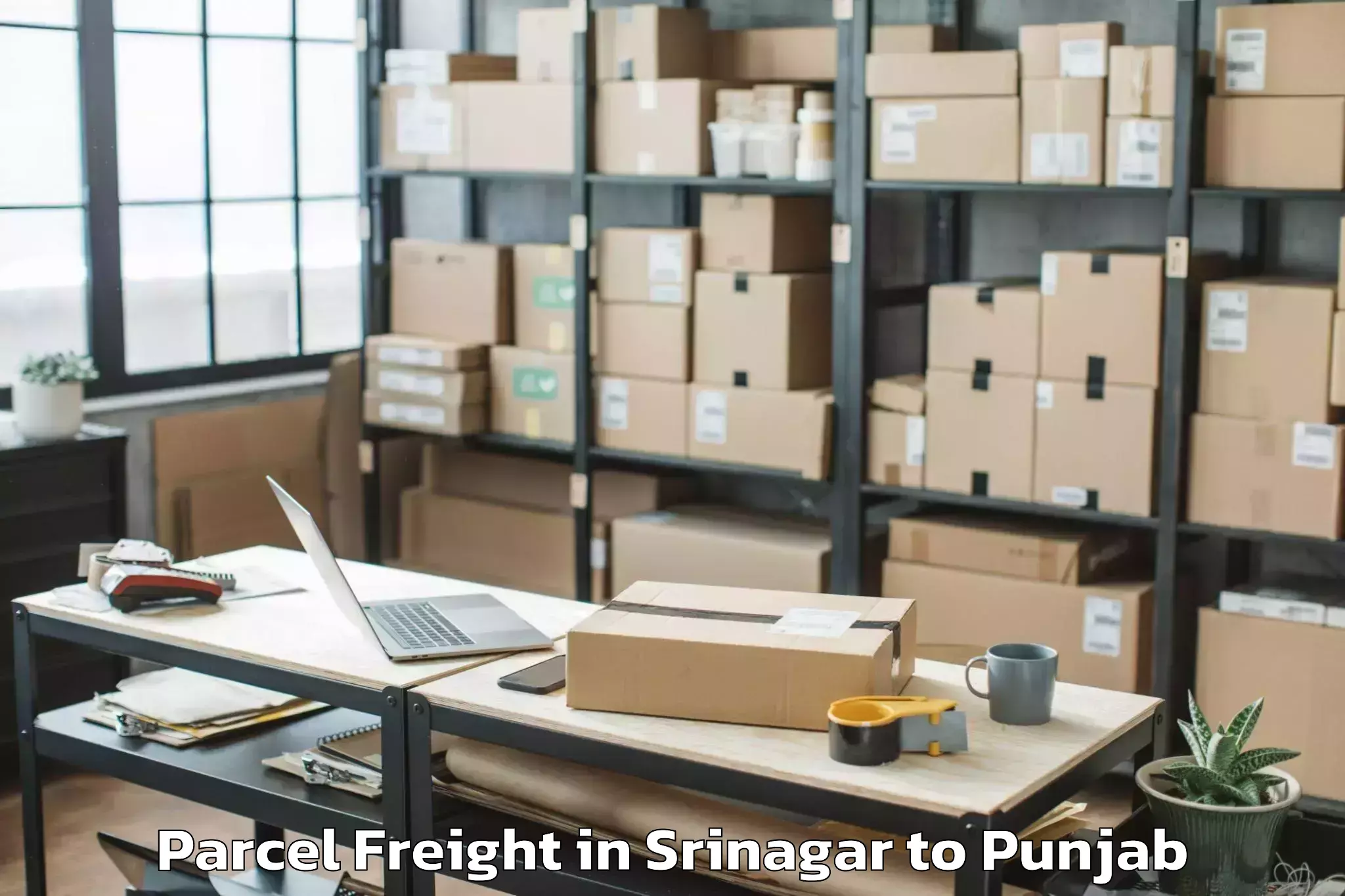 Leading Srinagar to Moga Parcel Freight Provider